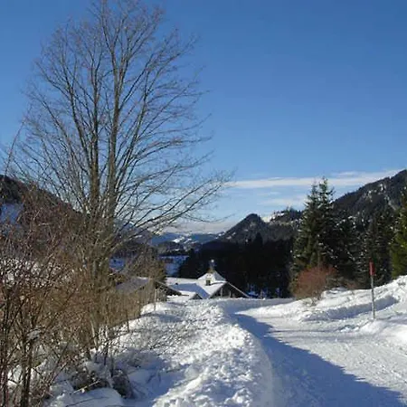Apartment Haus Hubertus Nesselwängle